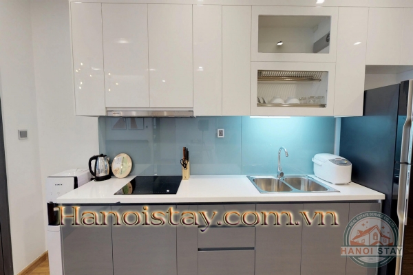 Vinhomes Metropolis: Cho thuê theo ngày, tháng, năm căn hộ 1PN đang rất được ưu chuộng, phù hợp với người nước ngoài 1