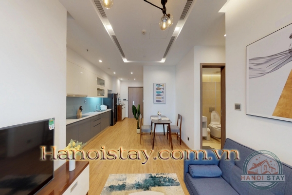 Vinhomes Metropolis: Cho thuê theo ngày, tháng, năm căn hộ 1PN đang rất được ưu chuộng, phù hợp với người nước ngoài 5