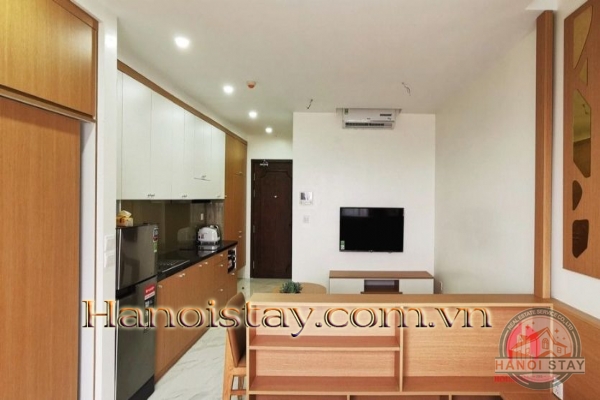 Cho thuê căn hộ D El Dorado theo ngày, tháng, năm - Căn hộ Studio mang dấu ấn cổ điển phương Tây 7
