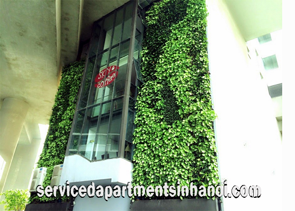 Bạn đã biết Dolphin Plaza là căn hộ cao cấp cho người nước ngoài thuê tại Nam Từ Liêm, Hà Nội? 2