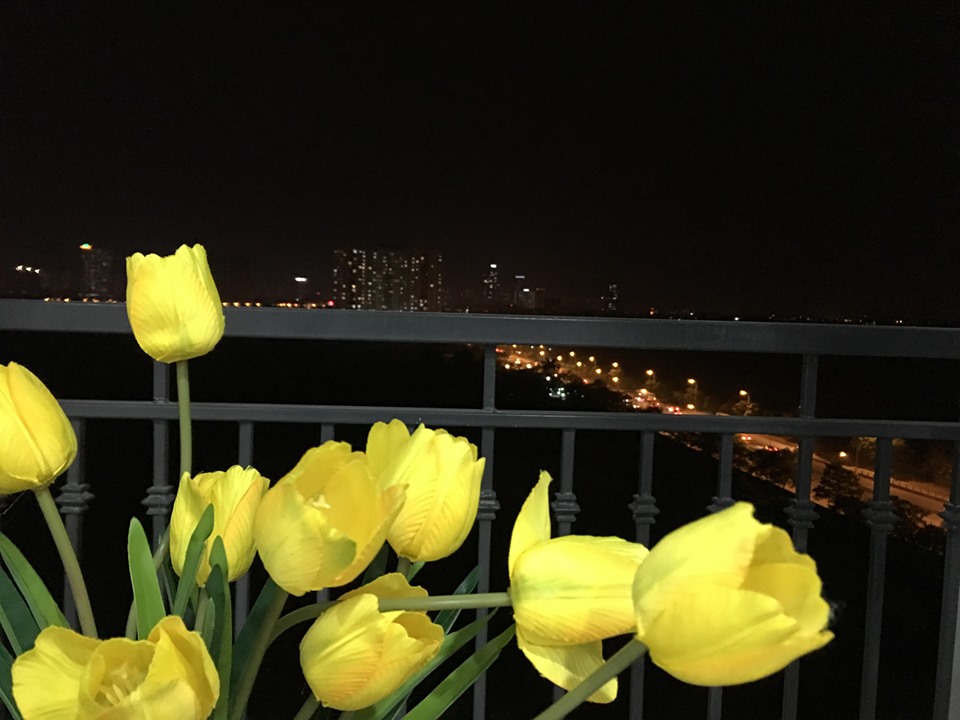 Căn Hộ 2 Phòng Ngủ Đẳng Cấp Tại Vinhome Greenbay Cho Thuê Giá Rẻ, Nội Thất Đầy Đủ 3