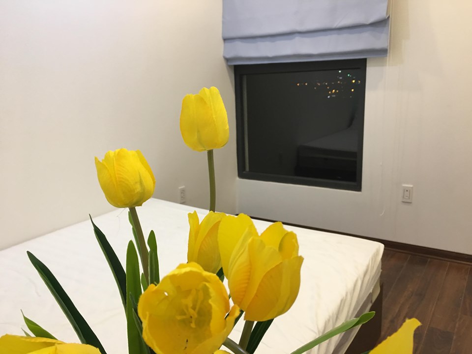 Căn Hộ 2 Phòng Ngủ Đẳng Cấp Tại Vinhome Greenbay Cho Thuê Giá Rẻ, Nội Thất Đầy Đủ 6