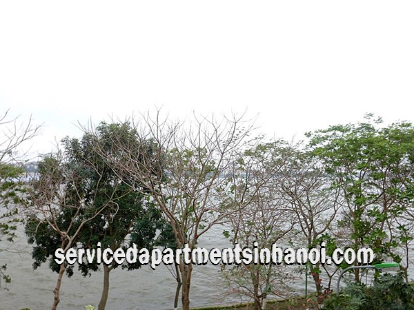 Căn hộ dịch vụ 1 phòng ngủ cho thuê tại Nhật Chiêu, Tây Hồ 2