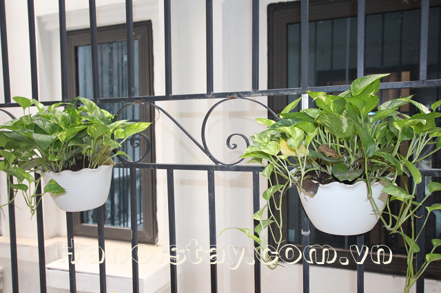 Căn hộ dịch vụ ở khu vực Duy Tân, quận Cầu Giấy cho người nước ngoài thuê 7