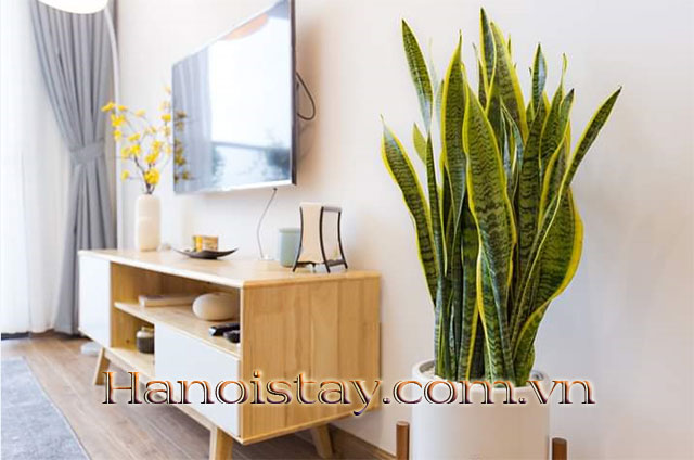 Chính Chủ Cần Cho Thuê Căn Hộ Tầng 39 Vinhomes Metropolis, Giá Cạnh Tranh 2
