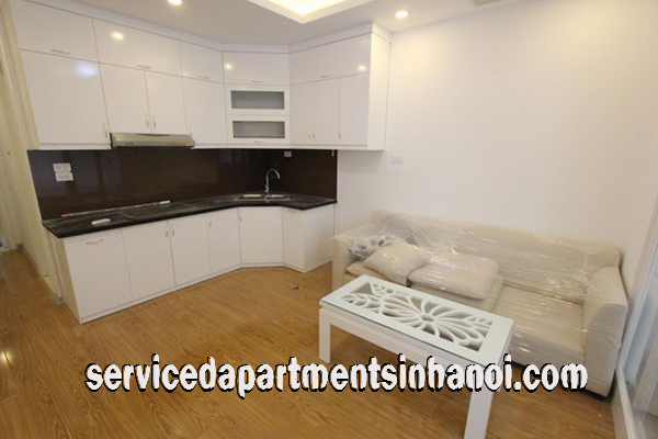 Cho người nước ngoài thuê căn hộ 1 phòng ngủ gần công viên Lê Nin 3