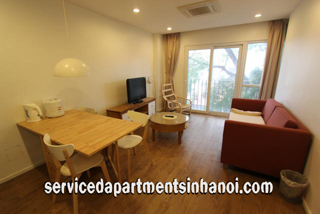 Cho người nước ngoài thuê căn hộ 2 phòng ngủ phố Triệu Việt Vương, Hai Bà Trưng 2