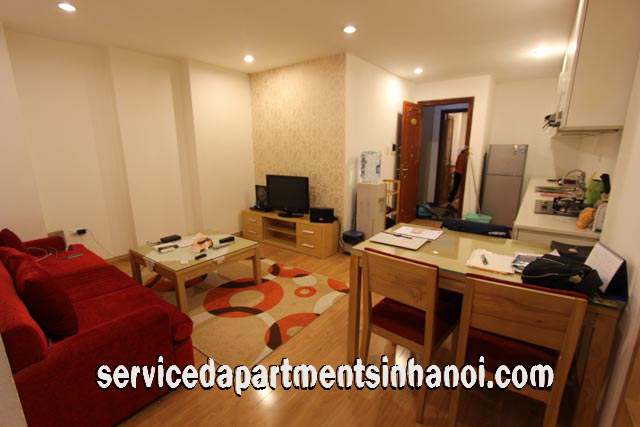Cho người nước ngoài thuê căn hộ hiện đại gần Vincom Bà Triệu, Hai Bà Trưng 3