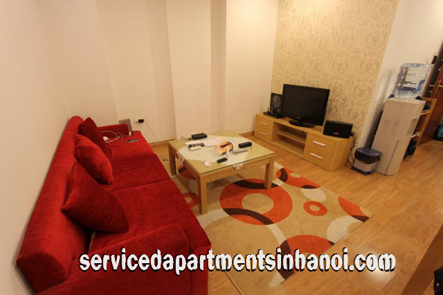 Cho người nước ngoài thuê căn hộ hiện đại gần Vincom Bà Triệu, Hai Bà Trưng 4