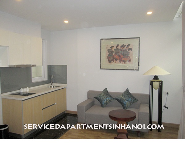 Cho thuê căn hộ 1 phòng ngủ hiện đại gần Triển Lãm Giảng Võ,Ba Đình 13