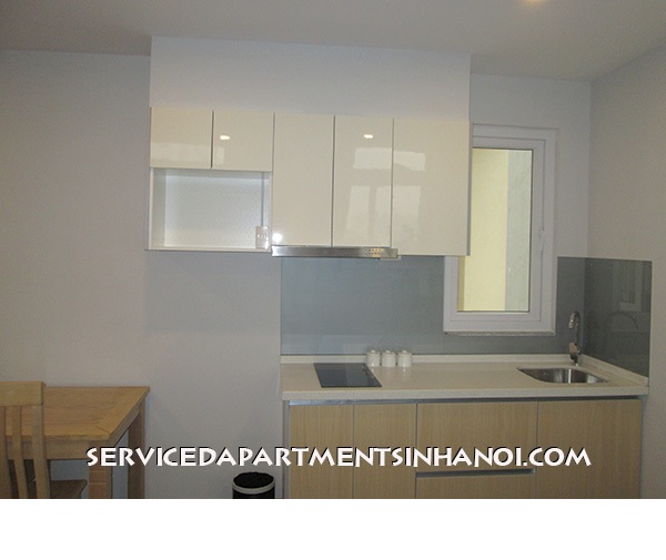Cho thuê căn hộ 1 phòng ngủ hiện đại gần Triển Lãm Giảng Võ,Ba Đình 14