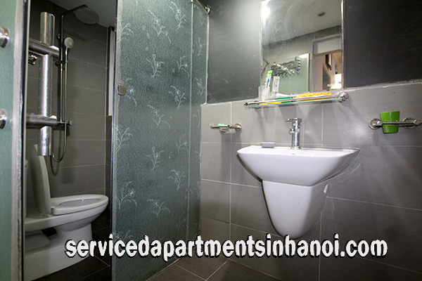 Cho thuê căn hộ cao cấp mới tại đường Lê Duẩn, Hai Bà Trưng 6