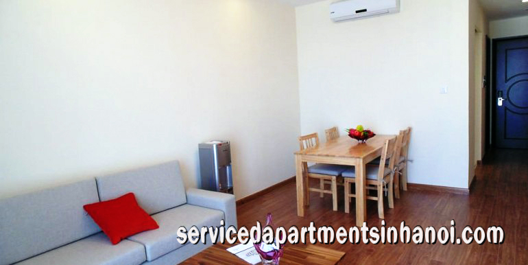 Cho thuê căn hộ chung cư 2 phòng ngủ giá rẻ tại Times City 2