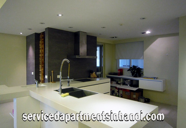 Cho thuê căn hộ chung cư cao cấp 2 phòng ngủ tại E5 Tower, Ciputra 11