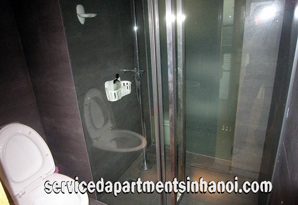 Cho thuê căn hộ chung cư cao cấp 2 phòng ngủ tại E5 Tower, Ciputra 14