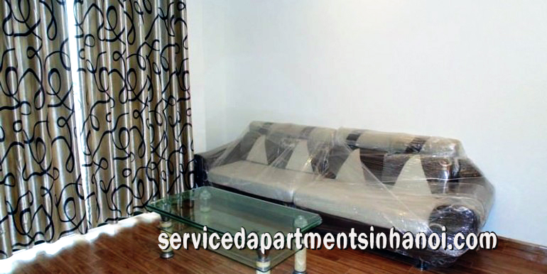 Cho thuê căn hộ chung cư giá rẻ tại Times City, Hai Bà Trưng 3