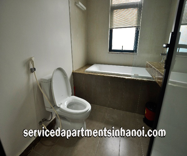 Cho thuê căn hộ dịch vụ 1 phòng ngủ gần Trung Tâm Văn Hóa Hàn Quốc, Hai Bà Trưng 2