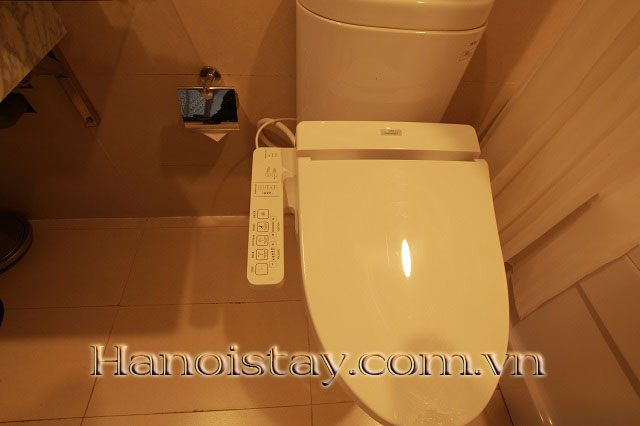 Cho thuê căn hộ dịch vụ, cạnh tòa nhà Pacific Place, Hoàn Kiếm 10