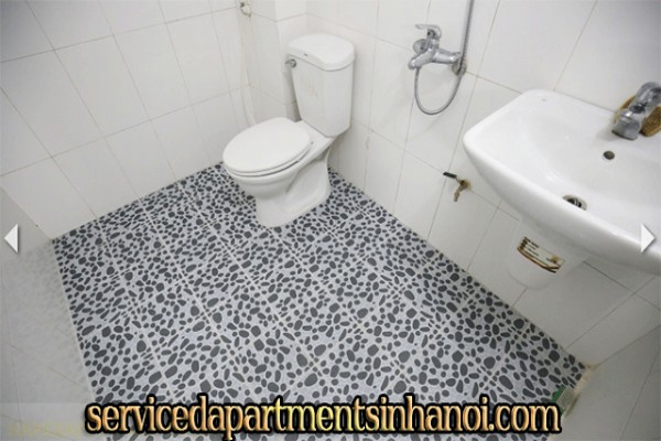 Cho thuê căn hộ giá siêu rẻ tại phố Cát Linh, Đống Đa 10