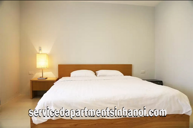Cho thuê căn hộ hiện đại 1 phòng ngủ tại Đặng Thai Mai, Tây Hồ 3