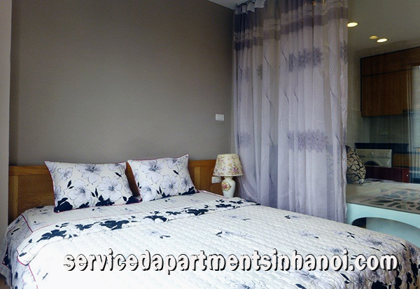 Cho thuê căn hộ mini phố Đặng Thai Mai, Tây Hồ 2