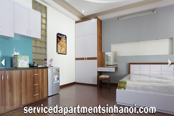 Cho thuê căn hộ Studio mới, giá rẻ tại Láng Hạ, Đống Đa, Hà Nội 3