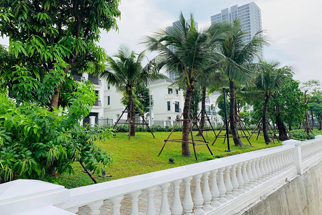 *Cho thuê Căn hộ Vinhomes Green Bay phong cách Châu Âu, Đẳng Cấp giữa Lòng Thành Phố* 1