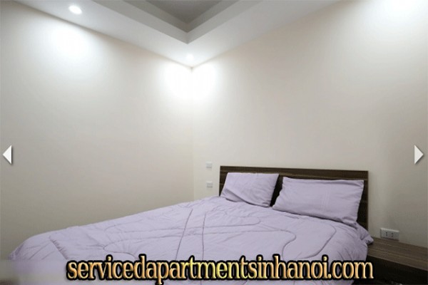 Căn hộ hoàn toàn mới tại khu vực rất yên tĩnh cho thuê gấp 11