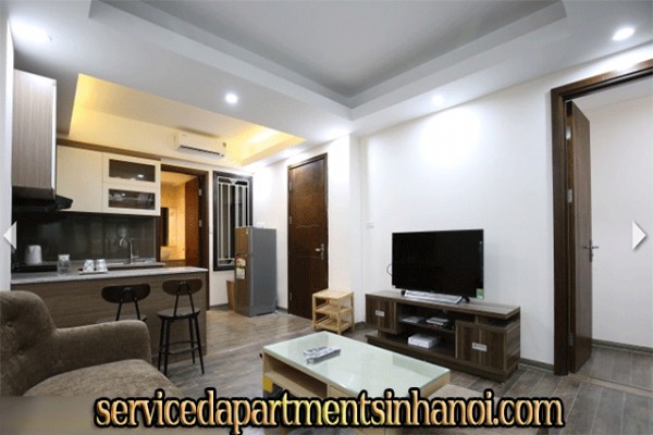 Căn hộ hoàn toàn mới tại khu vực rất yên tĩnh cho thuê gấp 4