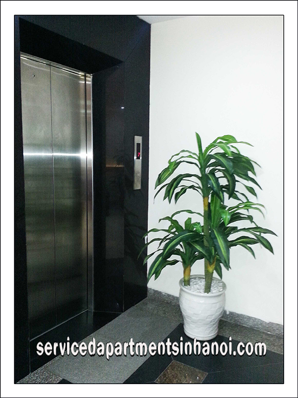 Phòng Studio từ khoảng 20m2 đến 30m2 cho thuê tại Cầu Giấy 8